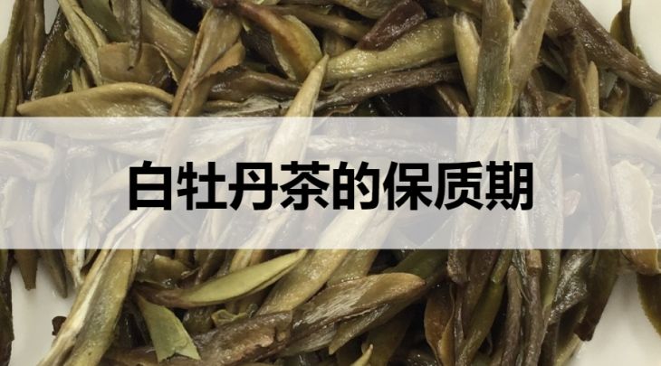 白牡丹茶的保質(zhì)期是多久？