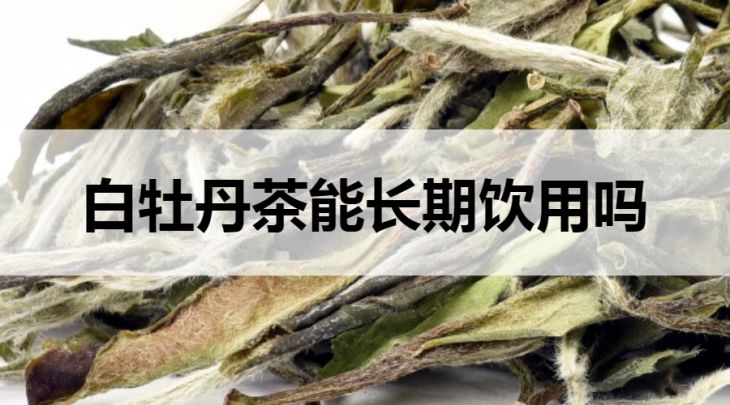 白牡丹茶可以長期飲用嗎？