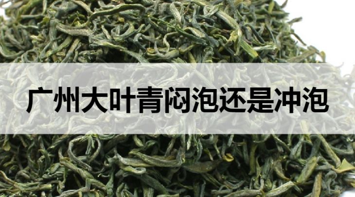 廣東大葉青是悶泡還是沖泡?