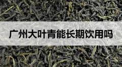 可以長(zhǎng)期喝廣東大葉青嗎？